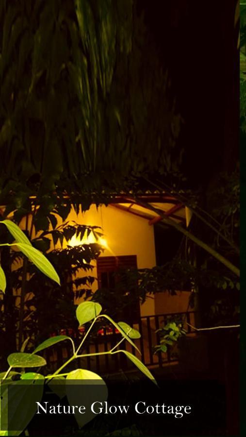 Nature Glow Cottage Udawalawe Exterior photo